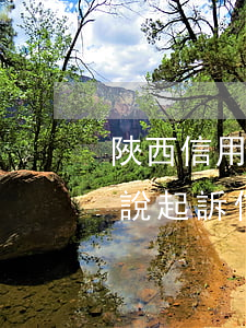 陜西信用卡逾期被訴(4006995558說起訴信用卡逾期)