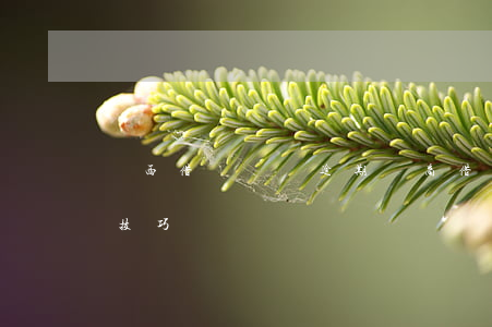 陜西借唄負債逾期協商 借唄逾期協商還本金技巧