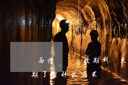 陜西借唄負債逾期影響大嗎(支付寶的借唄逾期了有什么后果)