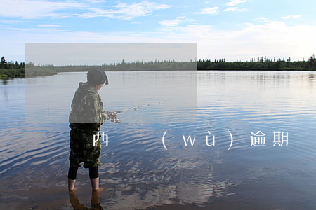 陜西債務(wù)逾期處理方式