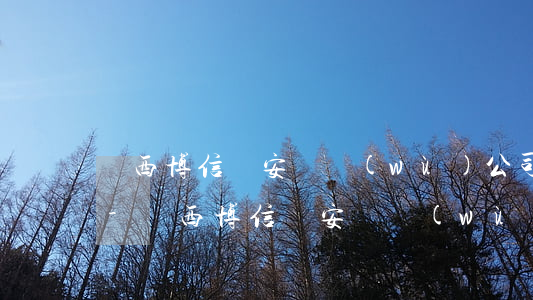 陜西博信順安勞務(wù)公司有沒有逾期-陜西博信順安勞務(wù)公司有沒有逾期的