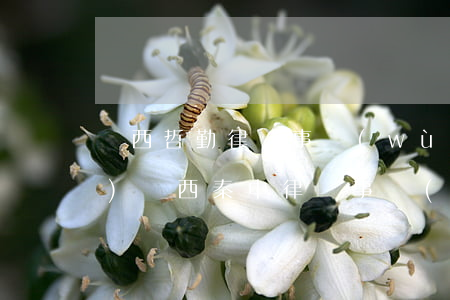 陜西哲勤律師事務(wù)所網(wǎng)(陜西秦中律師事務(wù)所)