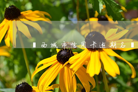 陜西城市信用卡逾期名單