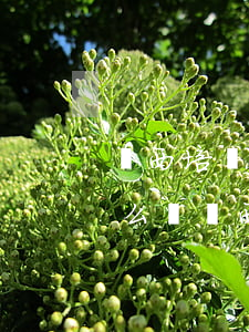 陜西培優(yōu)律師事務(wù)所怎么樣(陜西比較好的律師事務(wù)所)