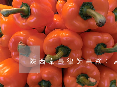 陜西奉長律師事務(wù)所律師簡介