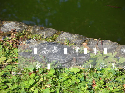 陜西奉長律師事務(wù)所(陜西奉長律師事務(wù)所怎么樣)