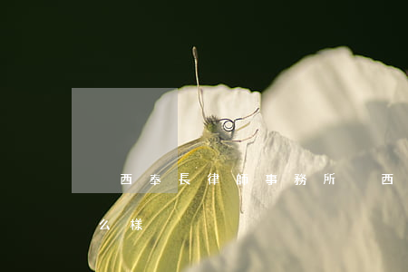 陜西奉長律師事務所(陜西奉長律師事務所怎么樣)