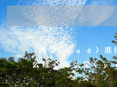 陜西學(xué)進律師事務(wù)所怎么樣(陜西弘業(yè)律師事務(wù)所怎么樣)