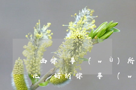 陜西律師事務(wù)所排名民事訴訟(陜西比較好的律師事務(wù)所是哪一個)