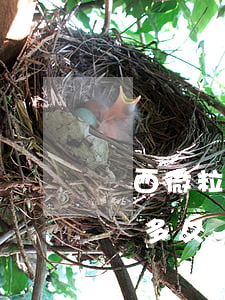 陜西微粒貸逾期會(huì)上門嗎(欠微粒貸多久會(huì)被上門)