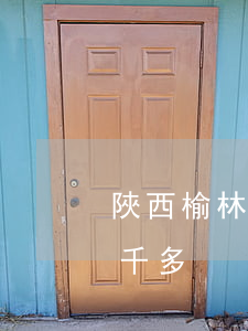 陜西榆林信用卡逾期(陜西榆林信用卡逾期一千多)