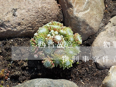 陜西省故意毀壞財物罪立案標準是多少(故意毀壞財物刑事案件立案標準)