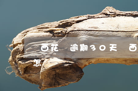 陜西花唄逾期30天(陜西花唄逾期30天會怎樣)