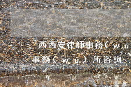 陜西西安律師事務(wù)所地址(西安律師事務(wù)所咨詢)