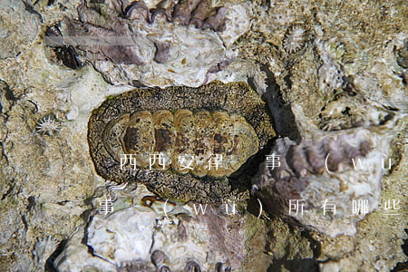 陜西西安律師事務(wù)所(陜西西安律師事務(wù)所有哪些)