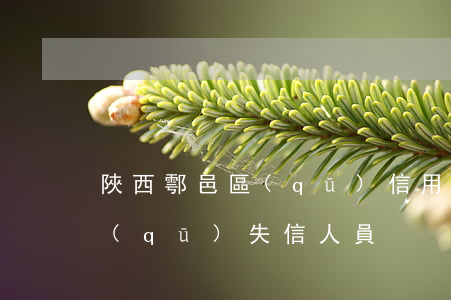 陜西鄠邑區(qū)信用卡逾期逮捕(鄠邑區(qū)失信人員)