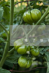 除了信用卡別的貸款不還(信用卡沒還能貸款嗎)