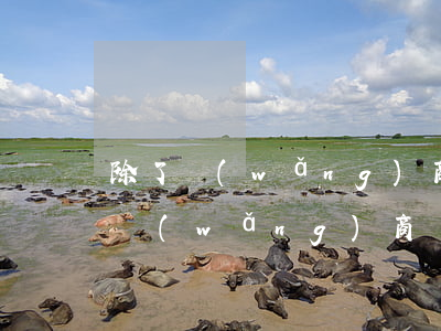 除了網(wǎng)商貸哪個利率低-除了網(wǎng)商貸哪個利率低一點