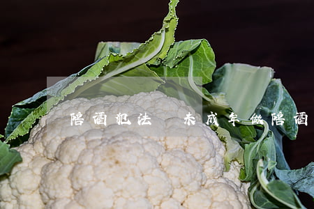 陪酒犯法嗎(未成年做陪酒犯法嗎)