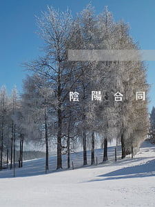 陰陽合同哪份具有法律效力