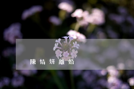 陳婧妍離婚