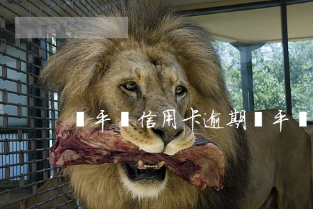 陳平談信用卡逾期(陳平談信用卡逾期)