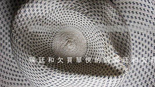 陳廷和欠買單俠的錢(陳廷和欠買單俠的錢)