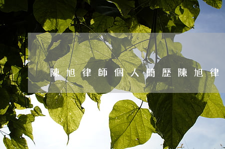 陳旭律師個人簡歷(陳旭律師簡介)