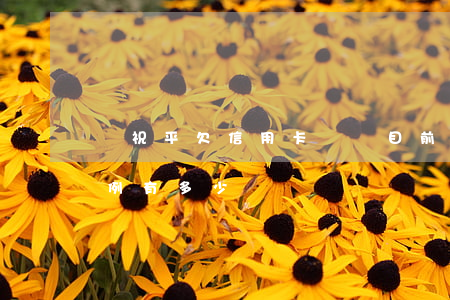 陳祝平欠信用卡沒還(目前欠信用卡沒還的案例有多少)
