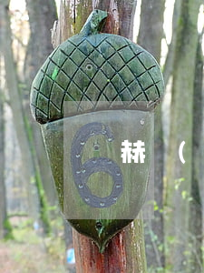 陳赫結(jié)婚多久離婚的