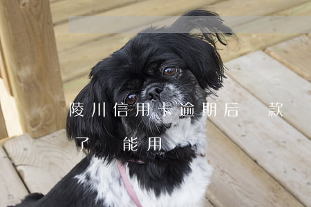 陵川信用卡逾期后還款還能用嗎(逾期的卡還了還能用嗎)