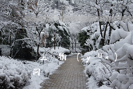 陸上貨物運(yùn)輸托運(yùn)合同