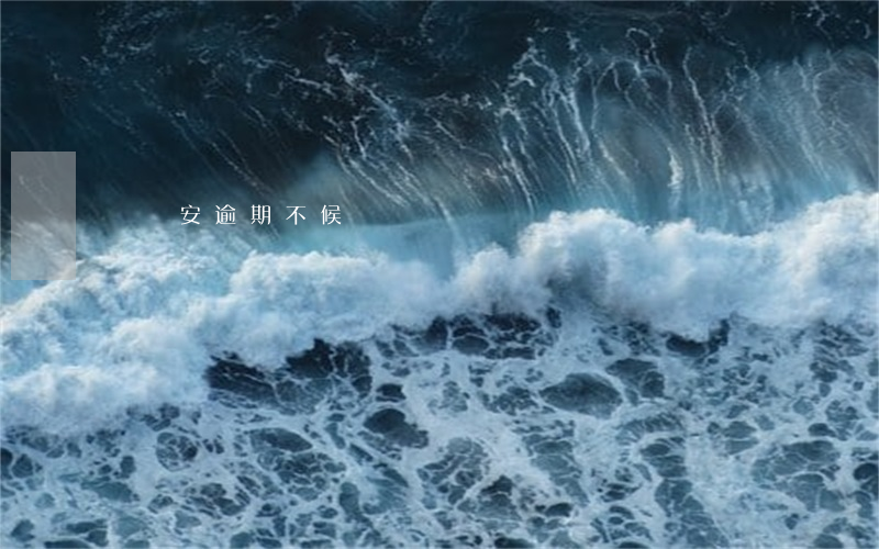 陸維安逾期不候