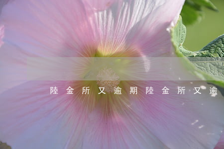 陸金所又逾期(陸金所又逾期)