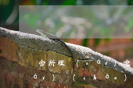 陸金所理財(cái)逾期 陸金所理財(cái)產(chǎn)品下架