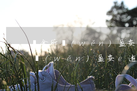 陸金所穩(wěn)盈安e逾期還款(陸金所穩(wěn)盈安e逾期還款)