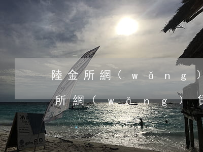 陸金所網(wǎng)貸逾期怎么理賠(陸金所網(wǎng)貸停止轉(zhuǎn)讓)