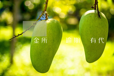 陸金所網貸逾期沒有代償(陸金所網貸停止轉讓)