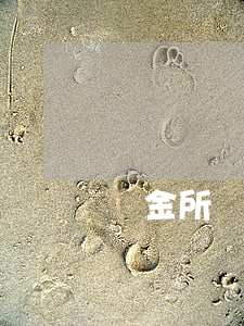 陸金所貸款主頁（陸金所貸款逾期一年）