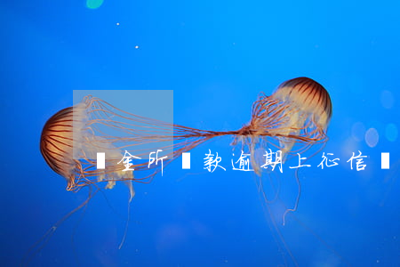 陸金所貸款逾期上征信(陸金服貸款上征信嗎)