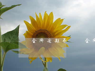 陸金所逾期不還(陸金所還錢了嗎)