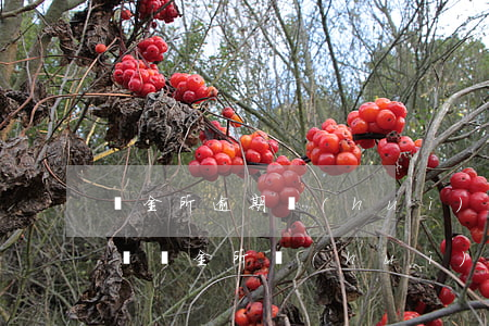陸金所逾期會(huì)不會(huì)起訴 陸金所會(huì)起訴嗎