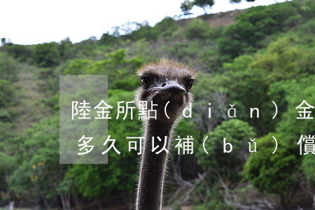 陸金所點(diǎn)金計(jì)劃逾期多久可以補(bǔ)償-陸金所點(diǎn)金計(jì)劃逾期多久可以補(bǔ)償