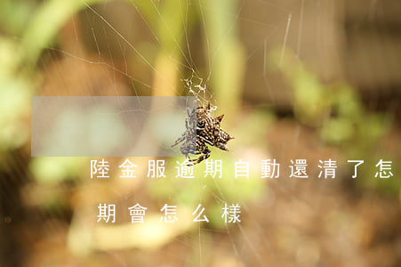 陸金服逾期自動還清了怎么回事-陸金服逾期會怎么樣