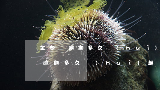 陸金申華逾期多久會(huì)起訴(陸金申華逾期多久會(huì)起訴)