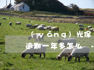 陽(yáng)光保險(xiǎn)保單貸逾期一年多怎么辦-陽(yáng)光保險(xiǎn)保單貸逾期一年多怎么辦理