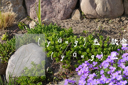 陽(yáng)光貸款逾期上門(mén)嗎(陽(yáng)光貸款逾期第二天直接上門(mén))