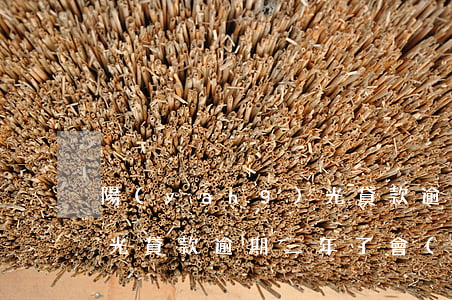 陽(yáng)光貸款逾期(陽(yáng)光貸款逾期三年了會(huì)起訴嗎)