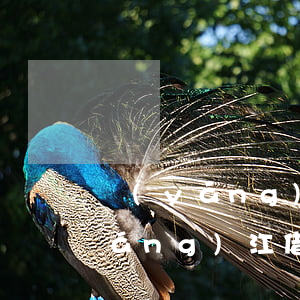 陽(yáng)江借款逾期案例分享（陽(yáng)江借款逾期案例）