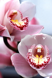 陽(yáng)泉市民政局能異地離婚嗎(民政局異地離婚需要什么手續(xù)怎么辦)